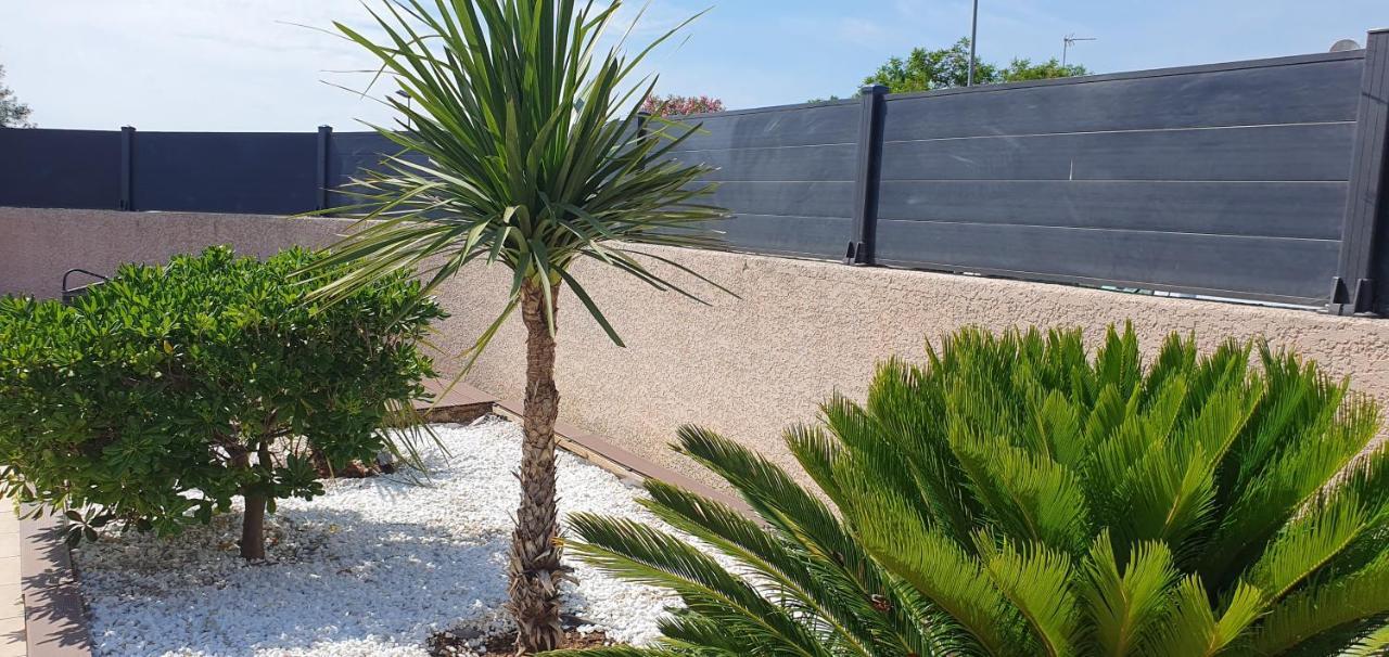 La Villa De L'Olivier Piscine Privee Et Parking Каркасон Екстериор снимка